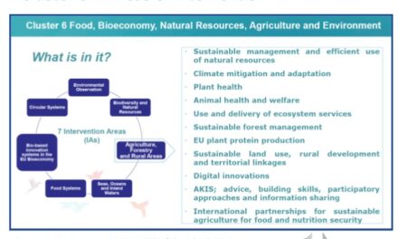 Cluster 6 – Food, Bioeconomy, Natural Resources, Agriculture and Environment