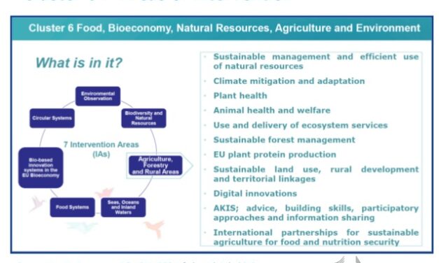 Cluster 6 – Food, Bioeconomy, Natural Resources, Agriculture and Environment