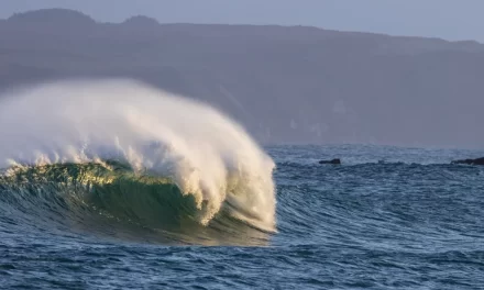 Cluster 6 and the Mission to Restore Our Ocean and Waters by 2030