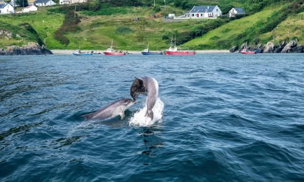 Cluster 6 (Marine) and Mission to Restore our Ocean and Waters by 2030