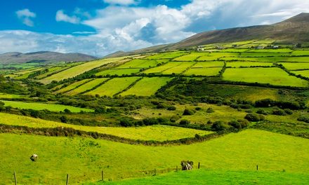 Advancing Sustainability and Innovation: Cluster 6 Updates and Future Directions