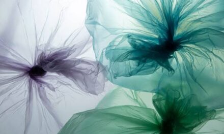 BioPackMan – Developing a bio-based alternative to plastic packaging